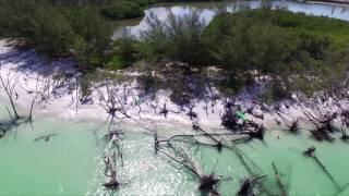 Drone footage of Beer Can Island in Longboat Key, FL