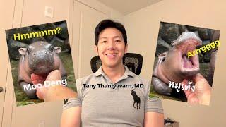 Lessons taught by "Moo Deng", a Thai pigmy hippo that has gone viral!