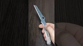 Spyderco Mariner. C02S.