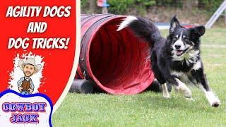 Dog Tricks for Kids | Cowboy Jack