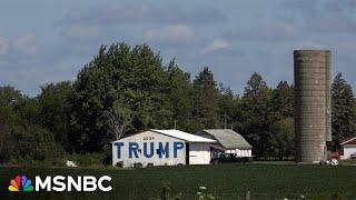 ‘Different reality’: Pro-Trump farmers react to Trump trade war