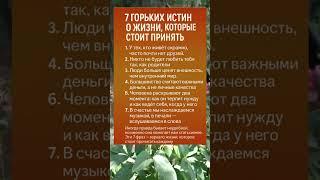 7 ГОРЬКИХ ИСТИН О ЖИЗНИ, КОТОРЫЕ СТОИТ ПРИНЯТЬ
