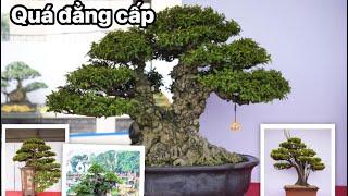 100 award-winning works at Vietnam Bonsai Exhibition