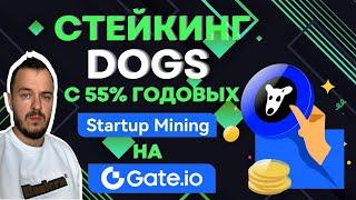 Стейкинг Dogs c 55% годовых | Startup Mining на Gate.io #стейкинг #криптовалюта #gateio