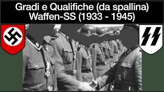 Gradi e Qualifiche Waffen-SS (1933-1945) - Spallina