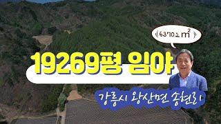 [정선임계부동산매물]  강원도 강릉시 왕산면 송현리  / 총 19269평(63702㎡) / 매매가 1억5천2백만원