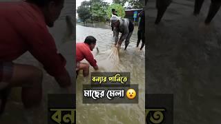 দয়া করে বন্যায় মাছ ধরা নিয়ে কেউ খারাপ কিছু বলবেননা। #shorts #fishing