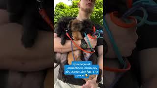 Знайомство з Світом #грифон #pets