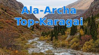 Ala-Archa. Top-Karagai. Autumn 2024.