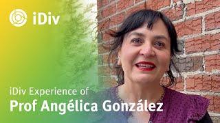 iDiv experience of Prof Angélica González