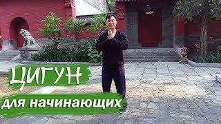 Цигун для начинающих. Урок 1 (русская озвучка, теория+практика)