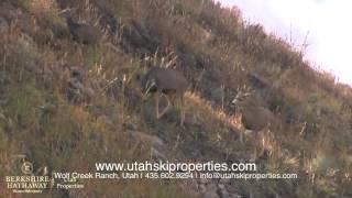 Wolf Creek Ranch, Utah | Homes and Lots for Sale, Park City, UT