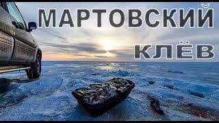 ЩУКА,ОКУНЬ и ОГРОМНАЯ ПЛОТВА\РЫБАЛКА В ЗАПОВЕДНИКЕ\МАРТОВСКИЙ КЛЁВ\ВЕСЕННЯЯ РЫБАЛКА\СУЛТАНКЕЛЬДЫ