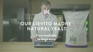 Our lievito madre natural yeast
