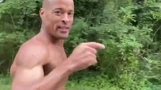 David Goggins Stay Hard