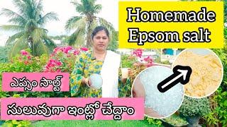 Homemade epsom salt | Homemade organic Fertilizer rich in magnesium