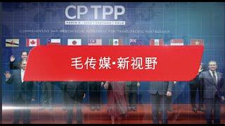 【毛传媒·新视野】高博士谈为何中国加入CPTPP前景黯淡