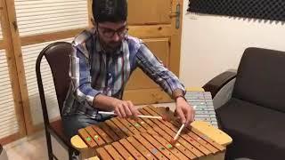 Neynava , a masterpiece by maestro Hossein Alizadeh, Xylophon player: Pouya Saraei