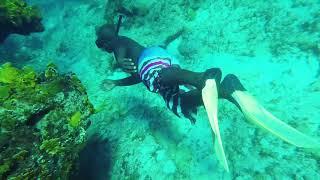 Turks and Caicos Snorkeling with Caicos Dream Tours