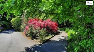 Jardin Botanique - Genève -  Mai 2021 - Canal 29