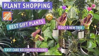 EASY CARE HOUSEPLANT SHOPPING at Home Depot  Best plants to buy as gifts