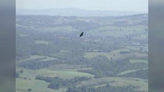 Hawk Mountain | Back Down The Pennsylvania Road