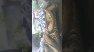 Belajar buat pot relief dan bahan bonsai