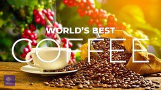 Top 10 Best Coffee | The Best Coffee Countries in the World 2022