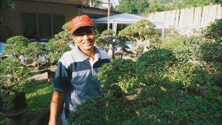 GET TO KNOW DODONG