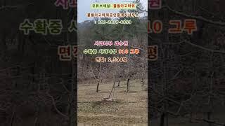 (급매) 단양군 단성면 사고나무과수원 토지 2,504평 (협의가능)