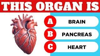 Human Body Part Challenge: Can You Guess the Organ?