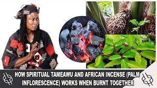 HOW SPIRITUAL TAMEAWU AND AFRICAN INCENSE (PALM INFLORESCENCE) WORKS WHEN BURNT TOGETHER