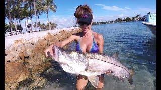 EPIC Snook Fishing