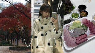 VLOG. 방어의 계절이 왔다 ️ | 겨울 신발, 잠옷 개시 | 임영웅 콘서트로 대리 효도하기 | 겨울 피부관리 | 편집 공장 | 대학생 자취 일상 브이로그