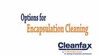 Options for Encapsulation Cleaning