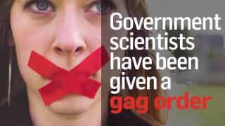 Government scientists have been given a gag order