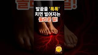 발 끝을 톡톡 치면 벌어지는 놀라운 일 #혈관건강 #혈관나이 #혈액순환 #발끝치기운동 #폼롤러 #건강운동 #건강 #건강꿀팁 #건강정보