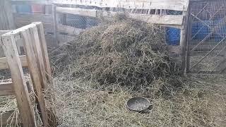 Как мы распределяем обязанности. Болталка.