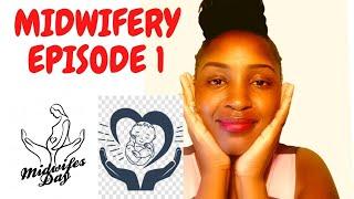 INTRODUCTION TO MIDWIFERY EPISODE 1