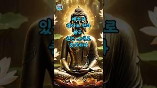 애쓰지 않아도 된다. 삶은 있는 그대로 충분하다 #부처님말씀 #명언 #자기수행