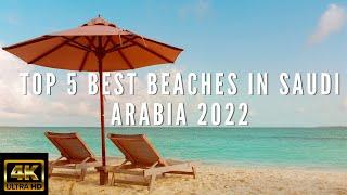 Top 5 Best Beaches in Saudi Arabia 2022