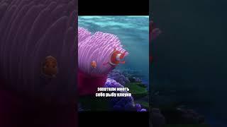 Интересные факты про мультфильм В поисках Немо