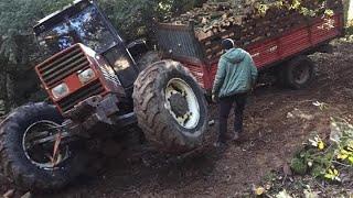 Fiat Tractor Struggles on Steep Terrain – Extreme Logging Challenge! 