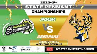 State Pennant | Weekend Grand Final | Moama vs Deer Park pt2