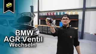 BMW X3 F25 2.0 Motor B47 AGR Ventil Wechseln | Changing the EGR valve | HD