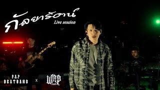 P.A.P BEAT BAND - กัลยารัตน์  (Live session) x WRP RECORD [TH/HMONG]