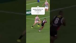 Collingwood v St Kilda Preview