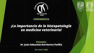 ¡La importancia de la histopatologíaen medicina veterinaria!