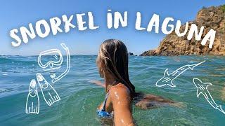 Leopard Sharks & Bikini Weather :) Summer Snorkel Vlog!