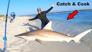 Caught and Cooked a SHARK From the BEACH!! *Catch, Clean, & Cook*